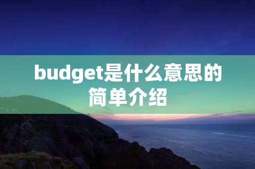 budget是什么意思的简单介绍