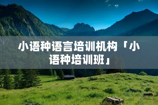 小语种语言培训机构「小语种培训班」