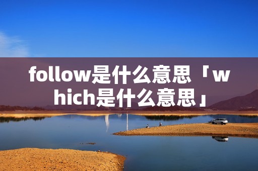 follow是什么意思「which是什么意思」