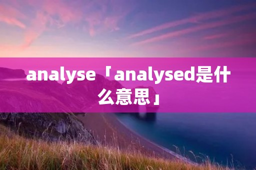 ****yse「****ysed是什么意思」