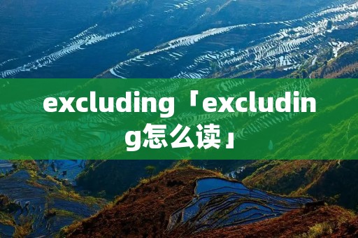 excluding「excluding怎么读」