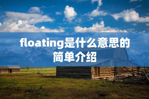 floating是什么意思的简单介绍