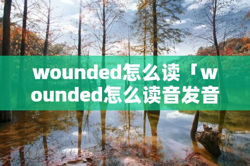 wounded怎么读「wounded怎么读音发音中文」