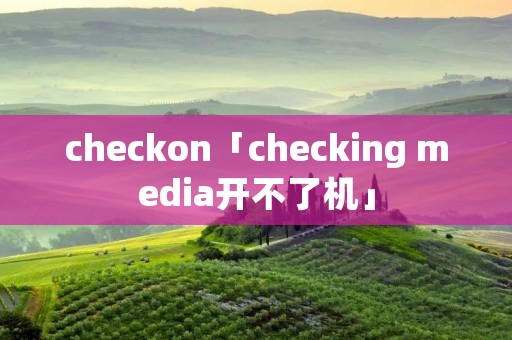 checkon「checking media开不了机」