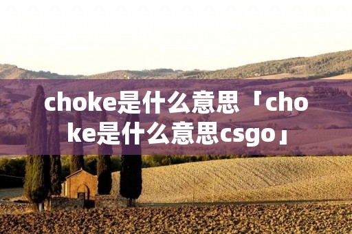 choke是什么意思「choke是什么意思csgo」
