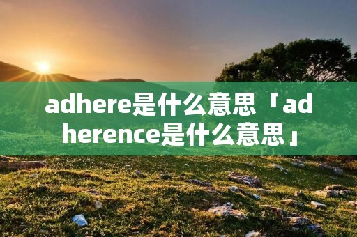 adhere是什么意思「adherence是什么意思」