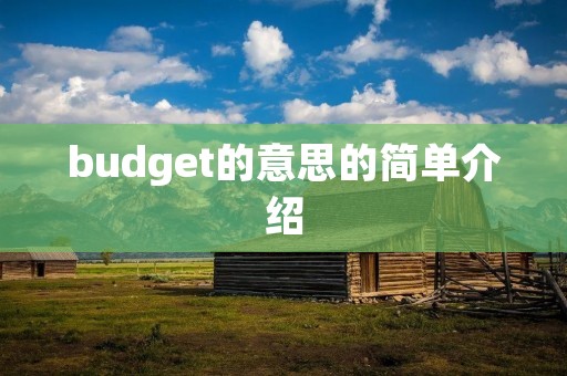 budget的意思的简单介绍