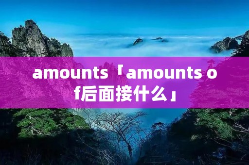 amounts「amounts of后面接什么」