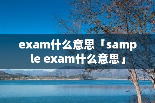 exam什么意思「sample exam什么意思」