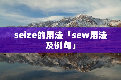 seize的用法「sew用法及例句」 seize的用法「sew用法及例句」