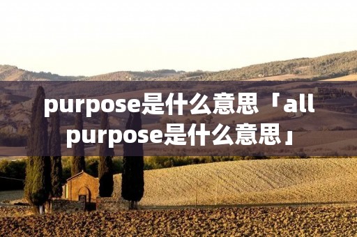 purpose是什么意思「allpurpose是什么意思」