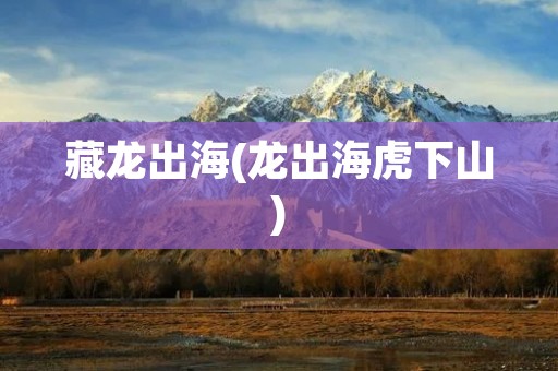 藏龙出海(龙出海虎下山) 藏龙出海(龙出海虎下山)