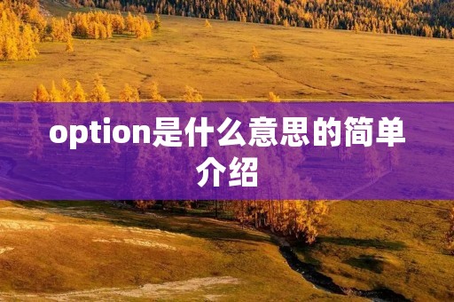 option是什么意思的简单介绍