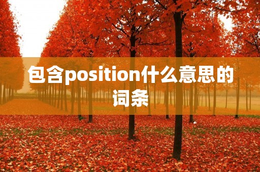 包含position什么意思的词条