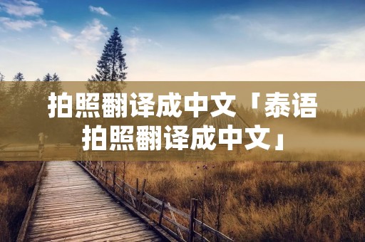 拍照翻译成中文「泰语拍照翻译成中文」