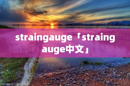 straingauge「straingauge中文」