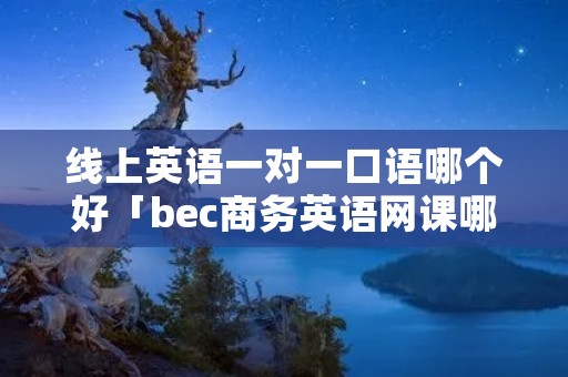 线上英语一对一口语哪个好「bec商务英语网课哪家好」