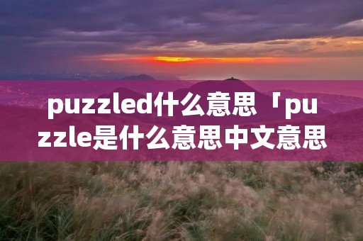 puzzled什么意思「puzzle是什么意思中文意思是什么」