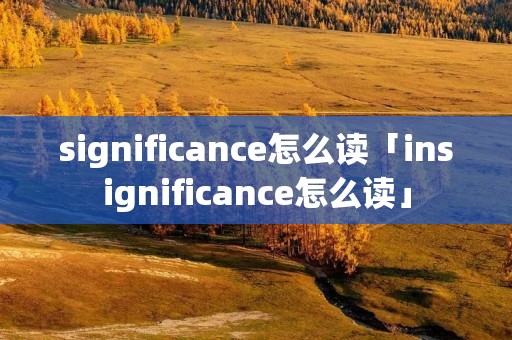 significance怎么读「insignificance怎么读」
