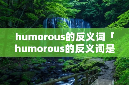 humorous的反义词「humorous的反义词是哪个单词」