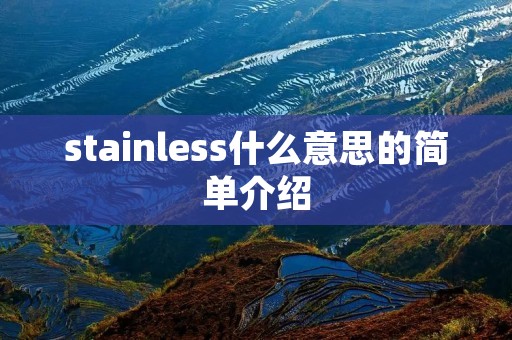 stainless什么意思的简单介绍