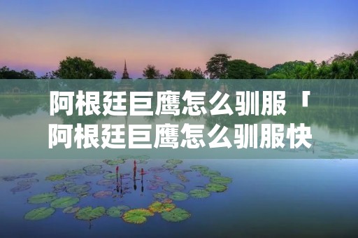 阿根廷巨鹰怎么驯服「阿根廷巨鹰怎么驯服快」