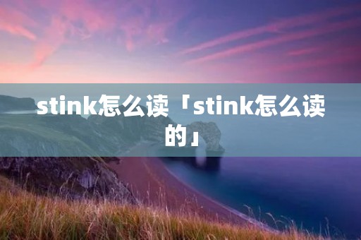 stink怎么读「stink怎么读的」 stink怎么读「stink怎么读的」