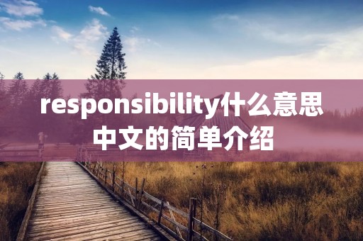responsibility什么意思中文的简单介绍 responsibility什么意思中文的简单介绍