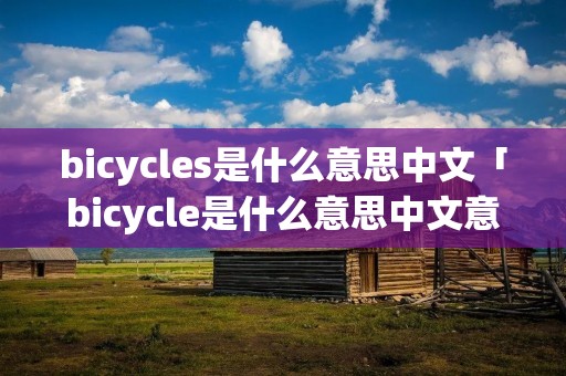 bicycles是什么意思中文「bicycle是什么意思中文意思」