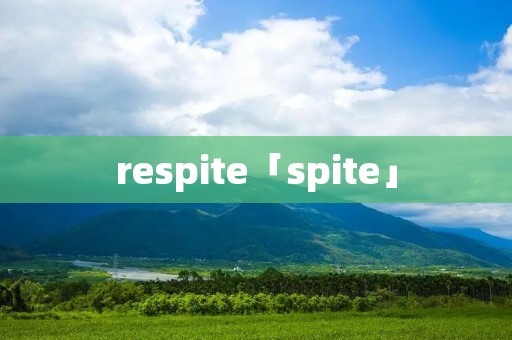 respite「spite」