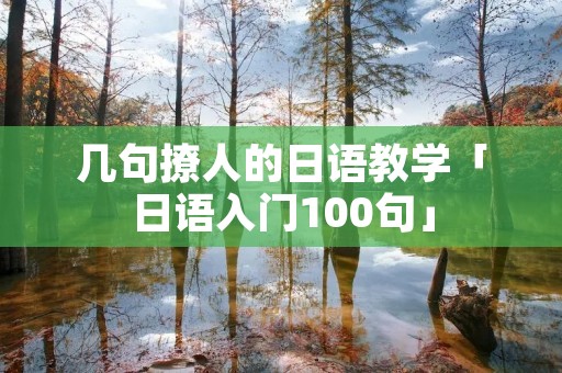 几句撩人的日语教学「日语入门100句」