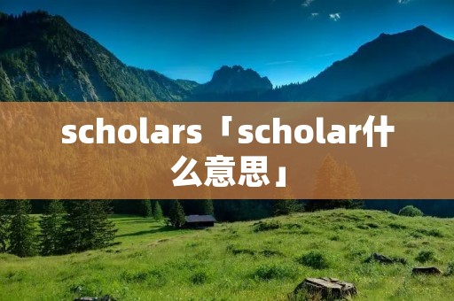 scholars「scholar什么意思」