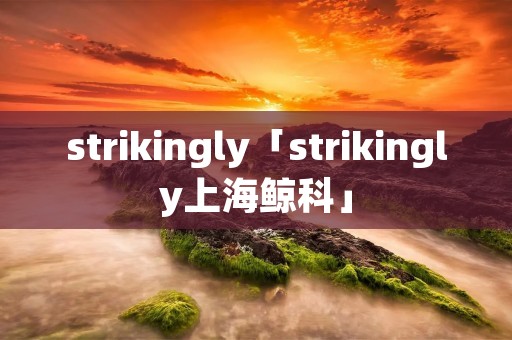 strikingly「strikingly上海鲸科」