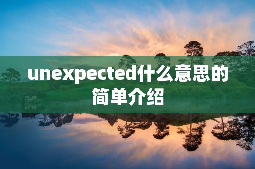 unexpected什么意思的简单介绍 unexpected什么意思的简单介绍