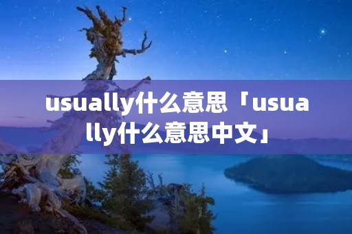 usually什么意思「usually什么意思中文」