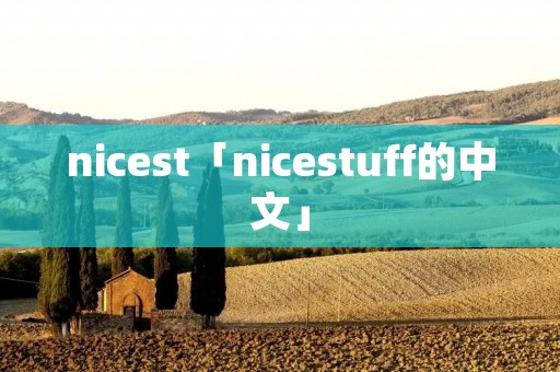 nicest「nicestuff的中文」