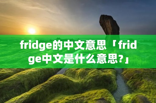 fridge的中文意思「fridge中文是什么意思?」 fridge的中文意思「fridge中文是什么意思?」