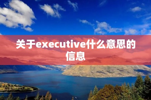 关于executive什么意思的信息