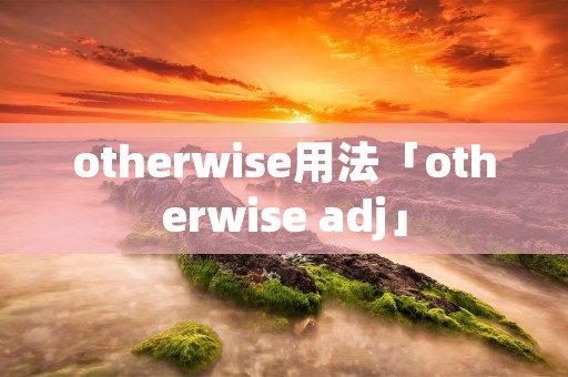 otherwise用法「otherwise adj」 otherwise用法「otherwise adj」