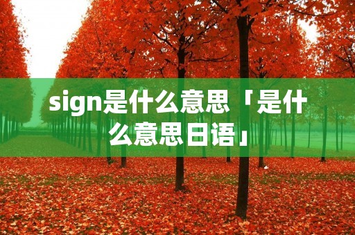 sign是什么意思「是什么意思日语」