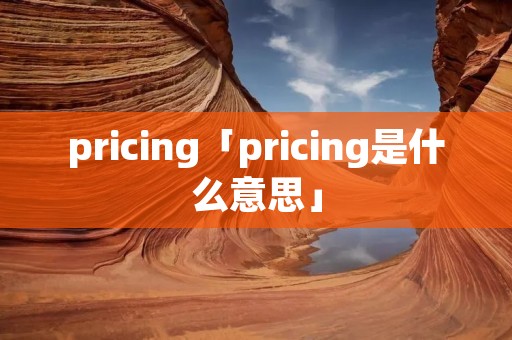 pricing「pricing是什么意思」