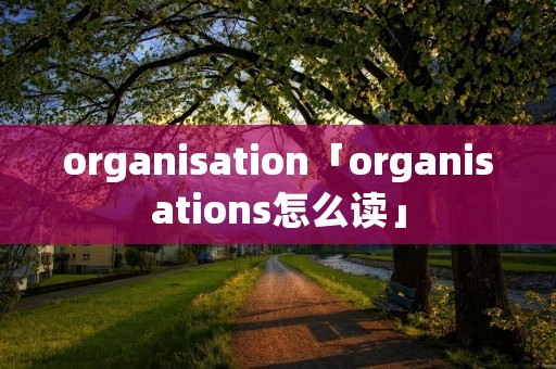 organisation「organisations怎么读」