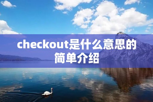 checkout是什么意思的简单介绍