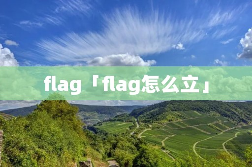 flag「flag怎么立」 flag「flag怎么立」