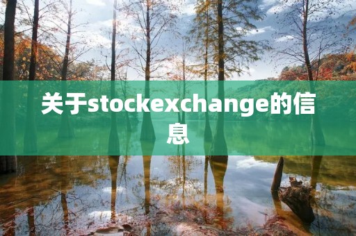 关于stockexchange的信息