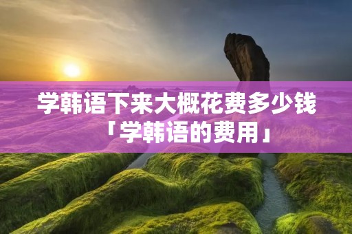 学韩语下来大概花费多少钱「学韩语的费用」