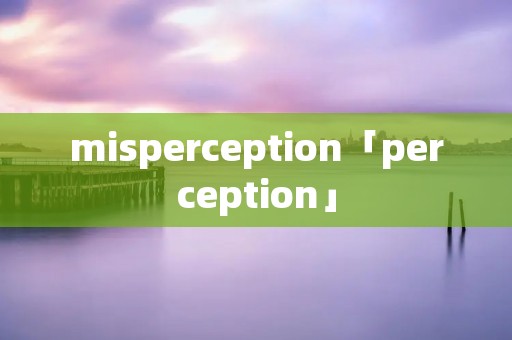 misperception「perception」 misperception「perception」
