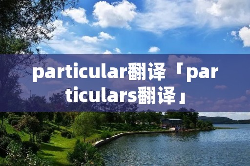 particular翻译「particulars翻译」