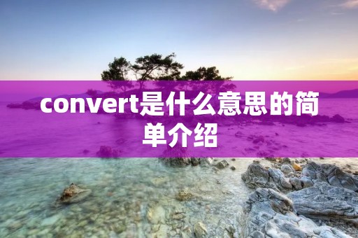 convert是什么意思的简单介绍