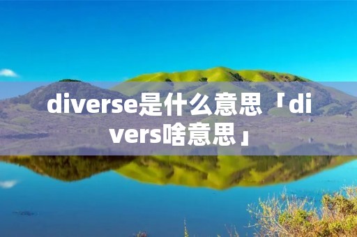 diverse是什么意思「divers啥意思」